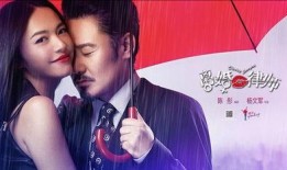 离婚律师手机在线观看,手机在线观看，情感纠葛与法律智慧